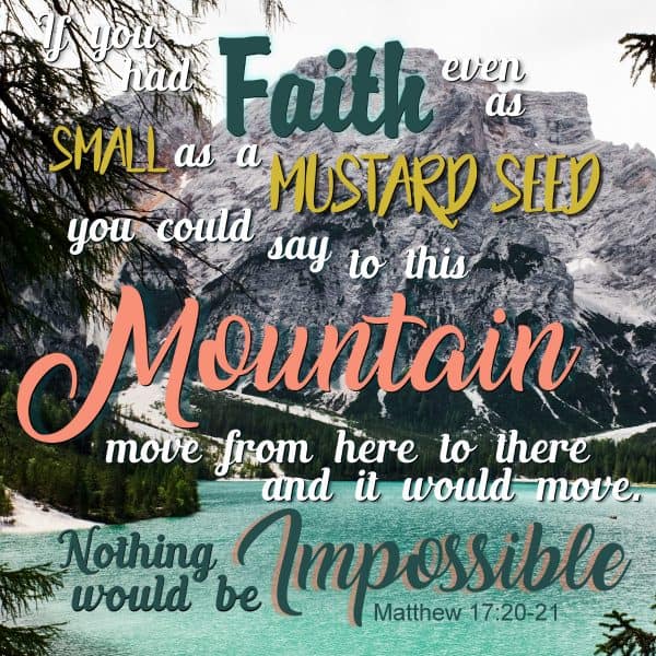 If you had faith even as small as a mustard seed you could say to this mountain, move from here to there, and it would move. Nothing would be impossible. Matthew 17:20-21