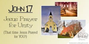John 17 - Jesus's Prayer for Unity (That Time Jesus Prayed for You)