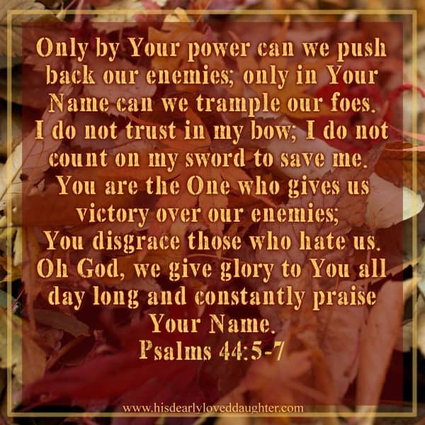 Only by Your power can we push back our enemies; only in Your Name can we trample our foes. I do not trust in my bow; I do not count on my sword to save me. You are the One who gives us victory over our enemies; You disgrace those who hate us. Oh God, we give glory to You all day long and constantly praise Your Name. Psalms 44:5-7