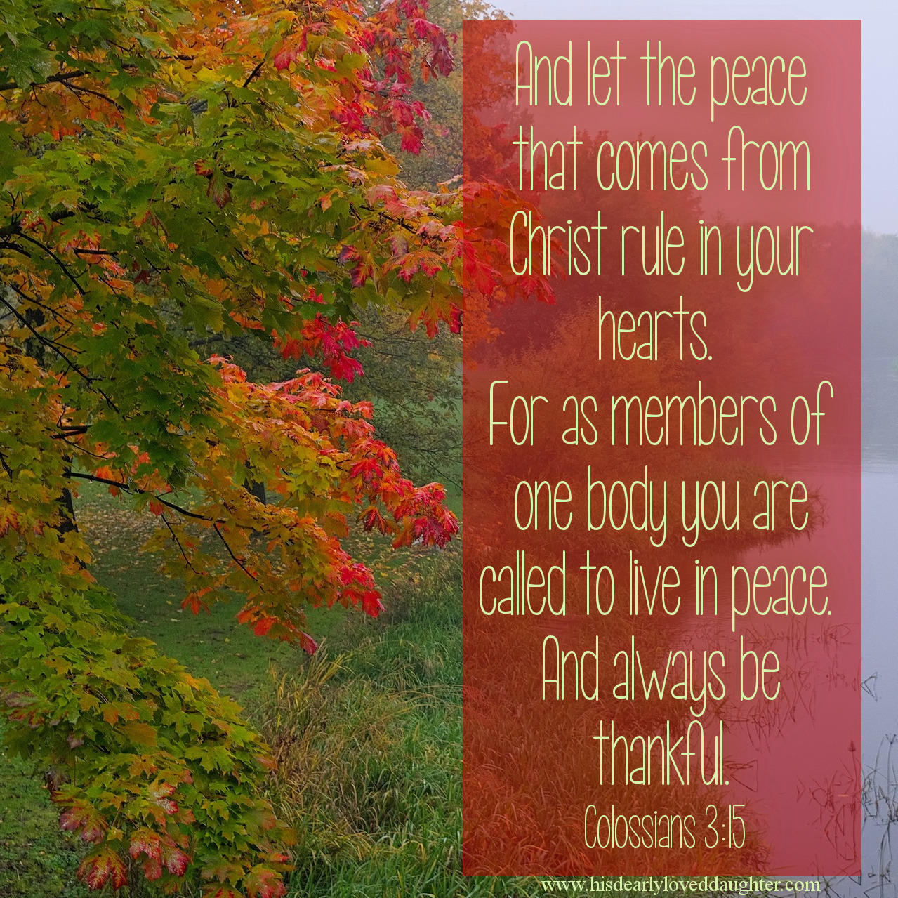 And let the peace that comes from Christ rule in your hearts. For as members of one body you are called to live in peace. And always be thankful. Colossians 3:15 #Thanksgiving #Verses #truth #Scripture #WordOfGod #BibleVerse