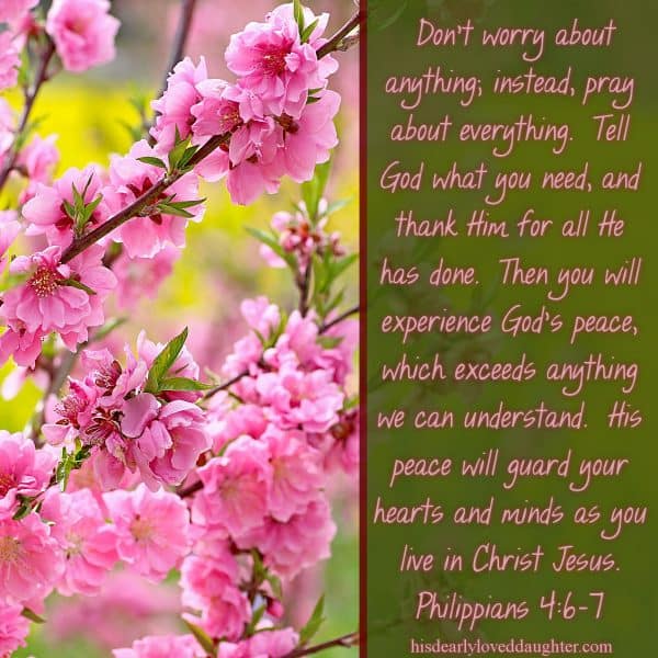 Don't worry about anything; instead, pray about everything. Tell God what you need, and thank Him for all He has done. Then you will experience God's peace, which exceeds anything we can understand. His peace will guard your hearts and minds as you live in Christ Jesus. Philippians 4:6-7 