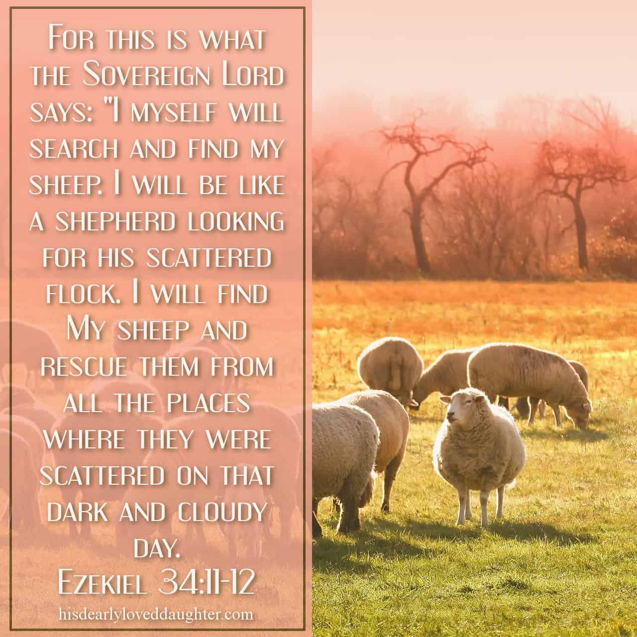 For this is what the Sovereign Lord says: "I will search and find my sheep. I will be like a shepherd looking for his scattered flock. I will find My sheep and rescue them from the places where they were scattered on that dark and cloudy day." Ezekiel 34:11-12