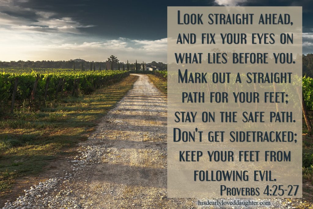 Look straight ahead, and fix your eyes on what lies before you. Mark out a straight path for your feet; stay on the safe path. Don't get sidetracked; keep your feet from following evil. Proverbs 4:25-27