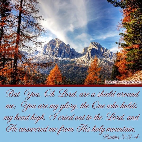 But You, Oh Lord, are a shield around me; You are my glory, the One who holds my head high. I cried out to the Lord, and He answered me from His holy mountain. Psalms 3:3-4