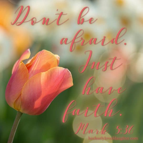 Don't be afraid. Just have faith. Mark 5:36