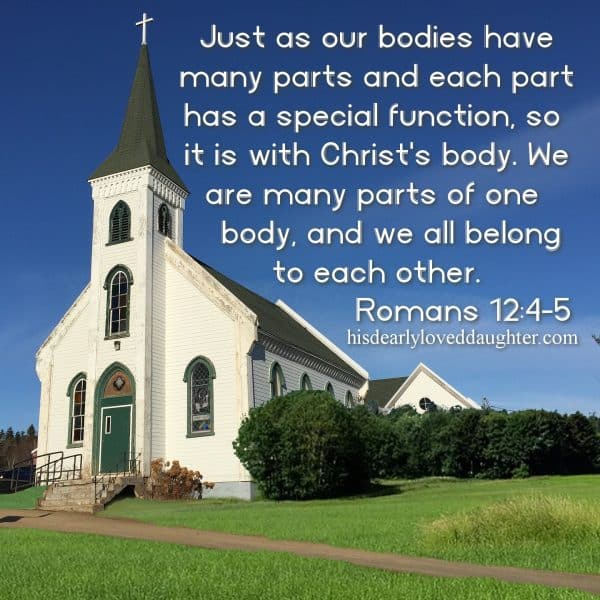 Just as our bodies have many parts and each part has a special function, so it is with Christ's body. We are many parts of one body, and we all belong to each other. Romans 12:4-5