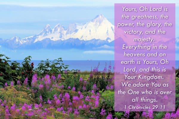 Yours, Oh Lord is the greatness, the power, the glory, the victory, and the majesty. Everything in the heavens and on earth is Yours, Oh Lord, and this is Your Kingdom. We adore You as the One who is over all things. 1 Chronicles 29:11