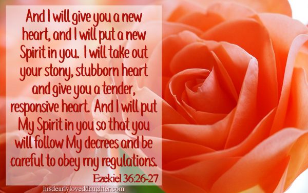 And I will give you a new heart, and I will put a new Spirit in you. I will take out your stony, stubborn heart and give you a tender, responsive heart. And I will put my Spirit in you so that you will follow My decrees and be careful to obey my regulations. Ezekiel 36:26-27