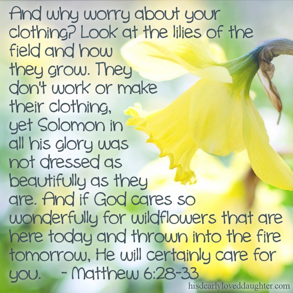 5 More Principles about Biblical Boundaries we Learn from God. His