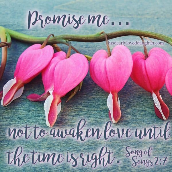 Promise me... not to awaken love until the time is right. Song of Songs 2:7