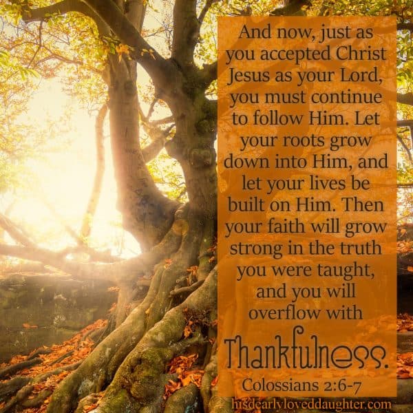 And now, just as you accepted Christ Jesus as your Lord, you must continue to follow Him. Let your roots grow down into Him, and let your lives be built on Him. Then your faith will grow strong in the truth you were taught, and you will overflow with thankfulness. Colossians 2:6-7 
