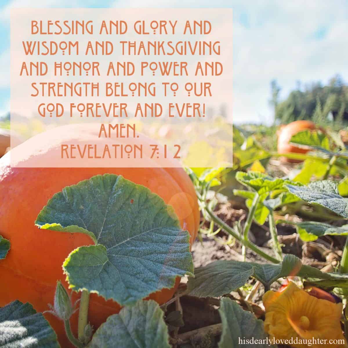 Blessing and glory and wisdom and thanksgiving and honor and power and strength belong to our God forever and ever! Amen. Revelation 7:12