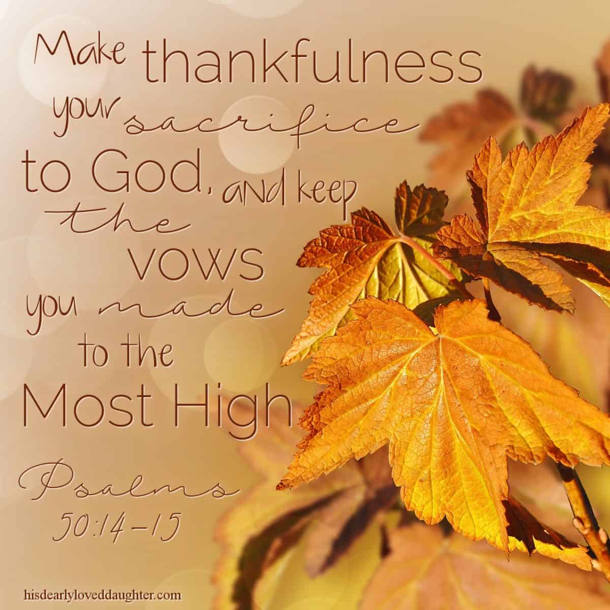 20-psalms-of-thanksgiving-and-praise-his-dearly-loved-daughter-ministries