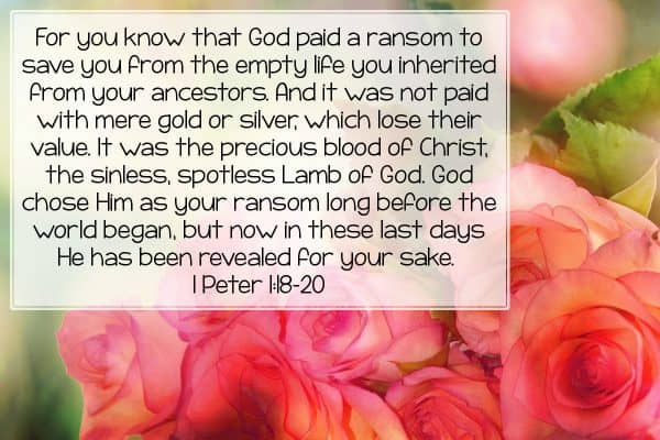 For you know that God paid a ransom to save you from the empty life you inherited from your ancestors. And it was not paid with mere gold or silver, which lose their value. It was the precious blood of Christ, the sinless, spotless Lamb of God. God chose Him as your ransom long before the world began, but now in these last days He has been revealed for your sake. 1 Peter 1:18-20