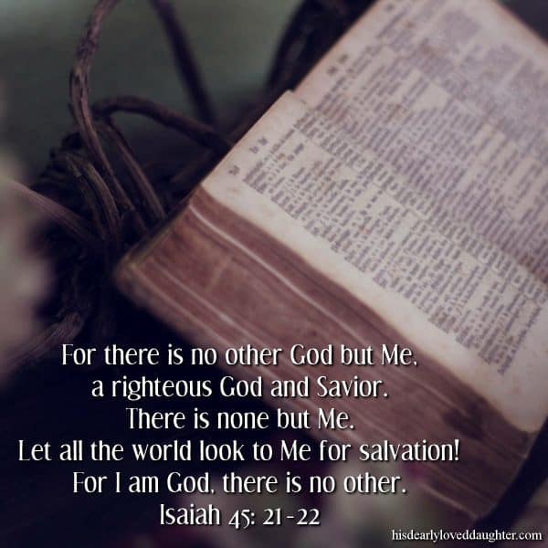 For there is no other God but Me, a righteous God and Savior. There is none but Me.  Let all the world look to Me for salvation! For I am God, there is no other. Isaiah 45:21-22