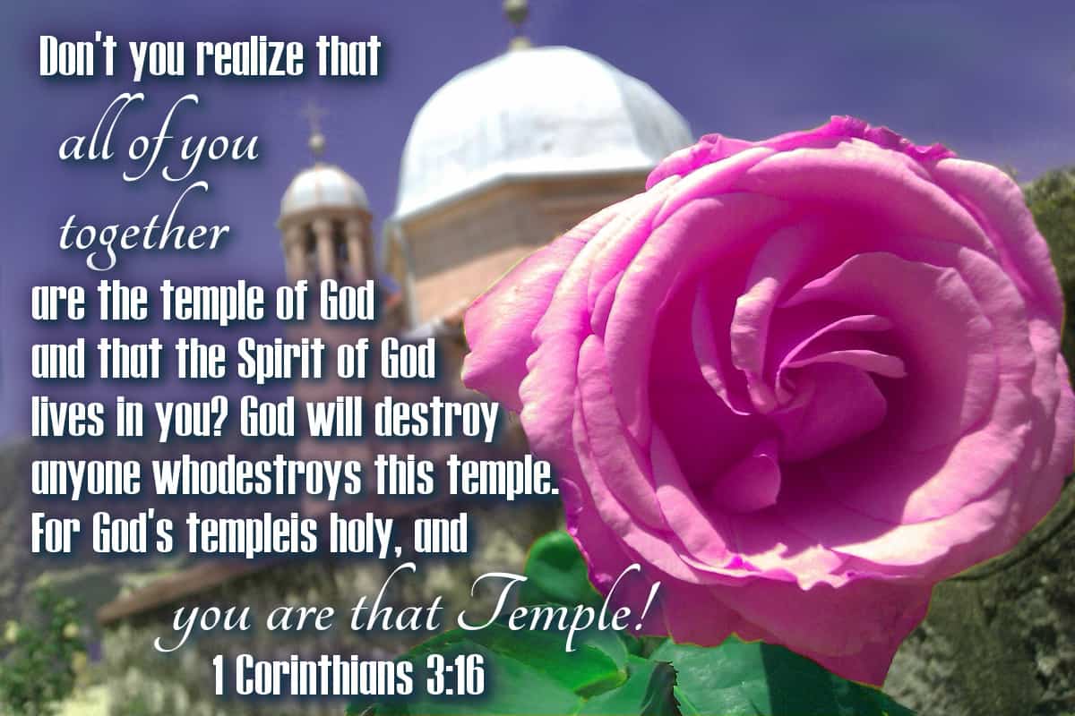 Don't you realize that all of you together are the temple of God and that the Spirit of God lives in you? God will destroy anyone who destroys this temple. For God’s temple is holy, and YOU ARE THAT TEMPLE! 1 Corinthians 3:16