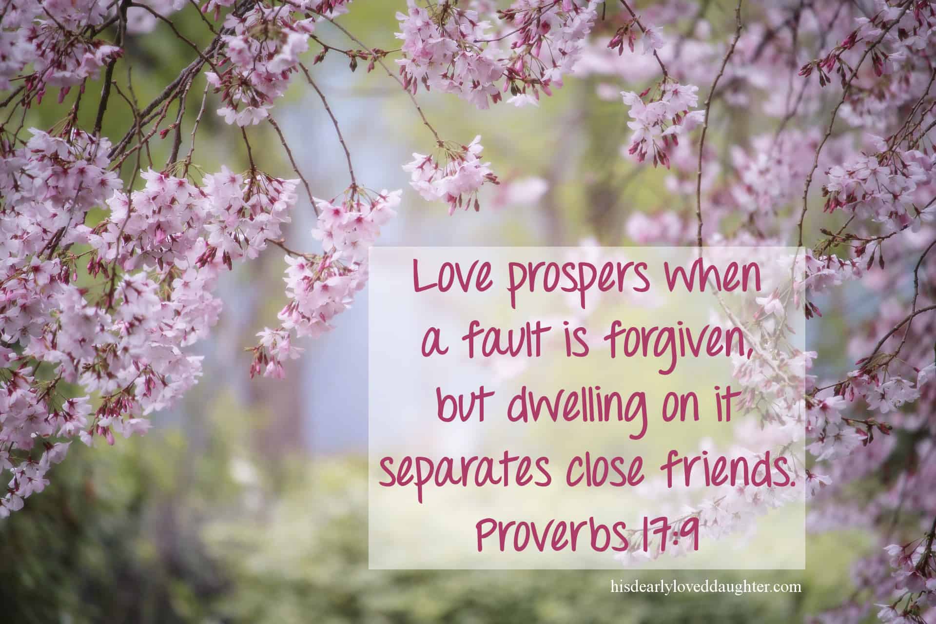 Proverbs 17 9 His Dearly Loved Daughter Ministries