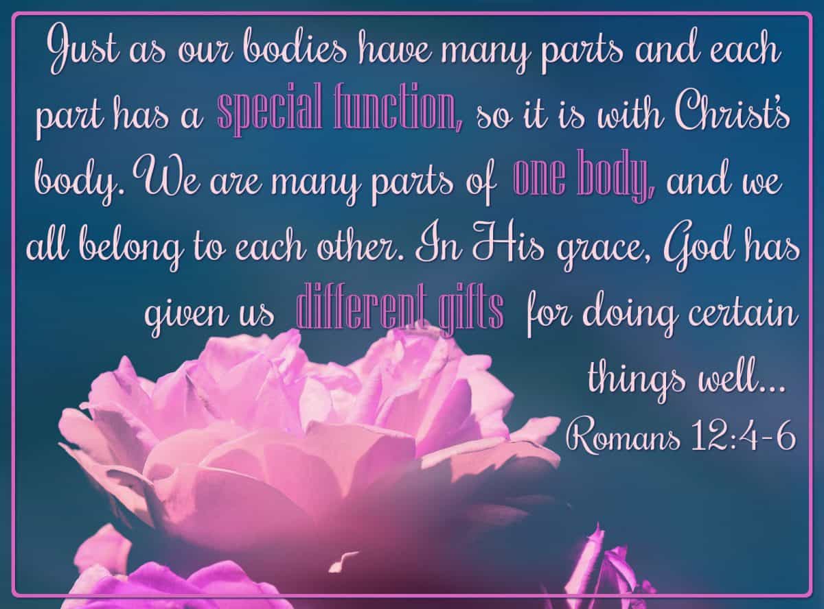 Just as our bodies have many parts and each part has a special function, so it is with Christ’s body. We are many parts of one body, and we all belong to each other. In His grace, God has given us different gifts for doing certain things well.... Romans 12:4-6