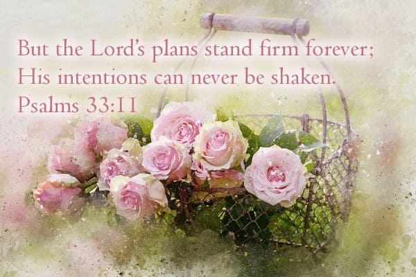 But the Lord’s plans stand firm forever; His intentions can never be shaken. Psalms 33:11