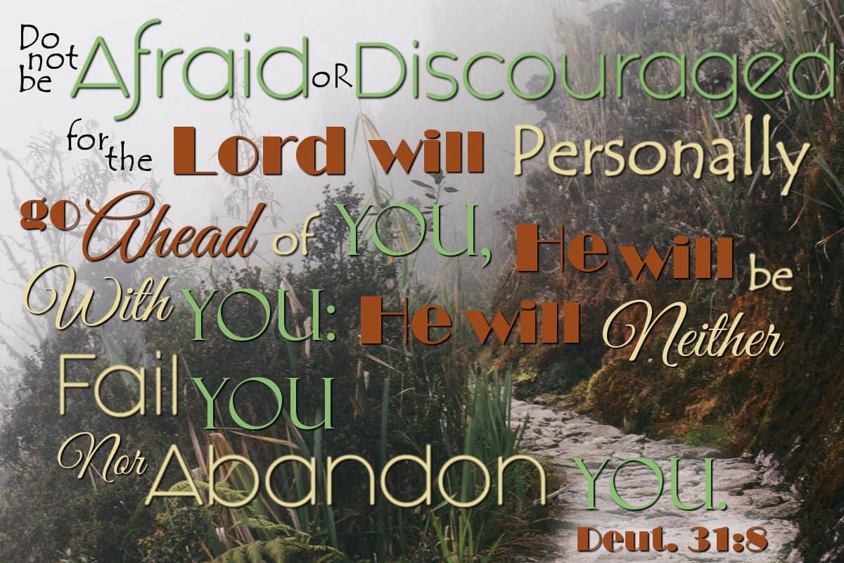 Do not be afraid or discouraged, for the Lord will personally go ahead of you. He will be with you; He will neither fail you nor abandon you. Deuteronomy 31:8