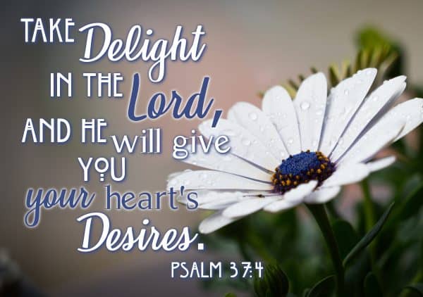 psalm-37-how-to-trust-god-in-difficult-times-his-dearly-loved