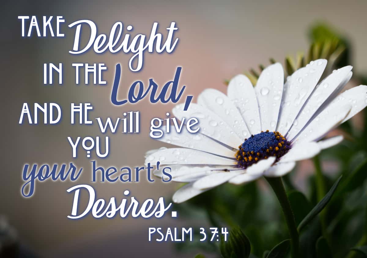 Take delight in the Lord, and He will give you your heart's Desires Psalm 37:4 verse image for my delight is in the Lord section
