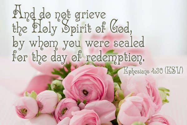 And do not grieve the Holy Spirit of God, by whom you were sealed for the day of redemption. Ephesians 4:30 (ESV)