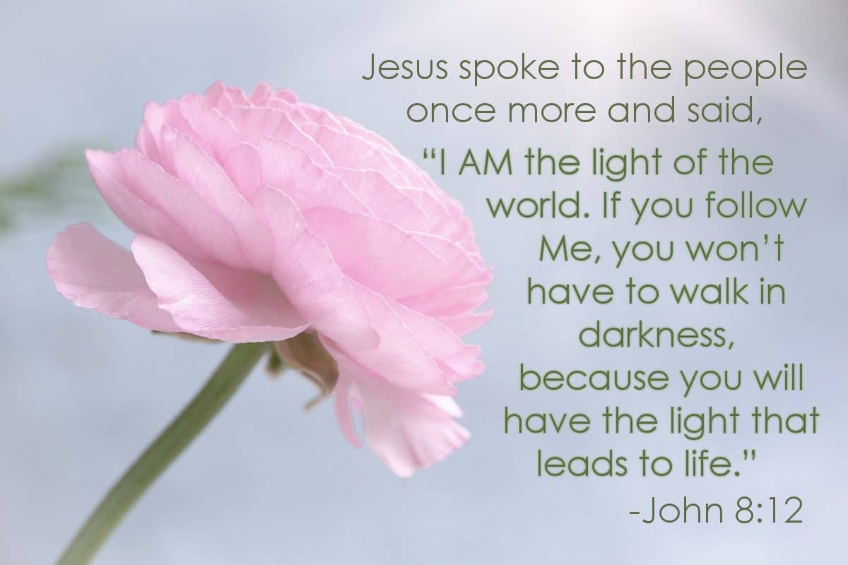 Jesus spoke to the people once more and said, “I AM the light of the world. If you follow Me, you won’t have to walk in darkness, because you will have the light that leads to life.” John 8:12