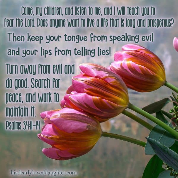 Come, my children, and listen to me, and I will teach you to fear the Lord. Does anyone want to live a life that is long and prosperous? Then keep your tongue from speaking evil and your lips from telling lies! Turn away from evil and do good. Search for peace, and work to maintain it. Psalms 34:11-14  