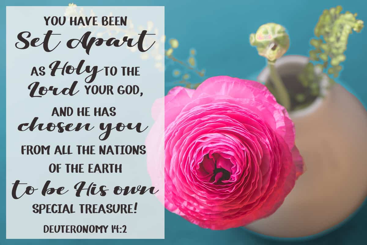 You have been set apart as holy to the Lord your God, and he has chosen you from all the nations of the earth to be his own special treasure. Deuteronomy 14:2