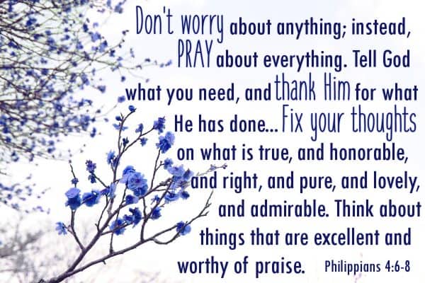 Philippians 4:6-8 - Don't worry about anything; instead, pray about everything. Tell God what you need, and thank Him for what He has done... Fix your thoughts on what is true, and honorable, and right, and pure, and lovely, and admirable. Think about things that are excellent and worthy of praise.