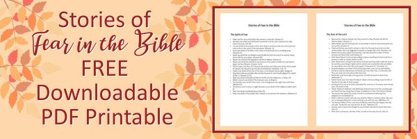 kinds of fear in the bible