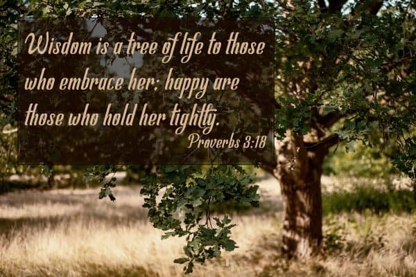 Wisdom is a tree of life to those who embrace her; happy are those who hold her tightly. Proverbs 3:18