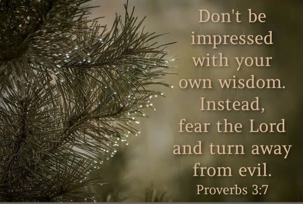 Don't be impressed with your own wisdom. Instead, fear the Lord and turn away from evil. Proverbs 3:7