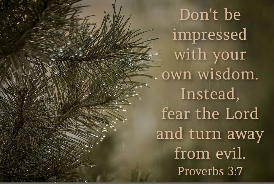 100 Old Testament Wisdom Scriptures Show Wisdom Comes from God