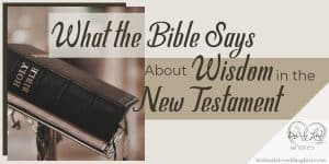 What the Bible Says About Wisdom in the New Testament
